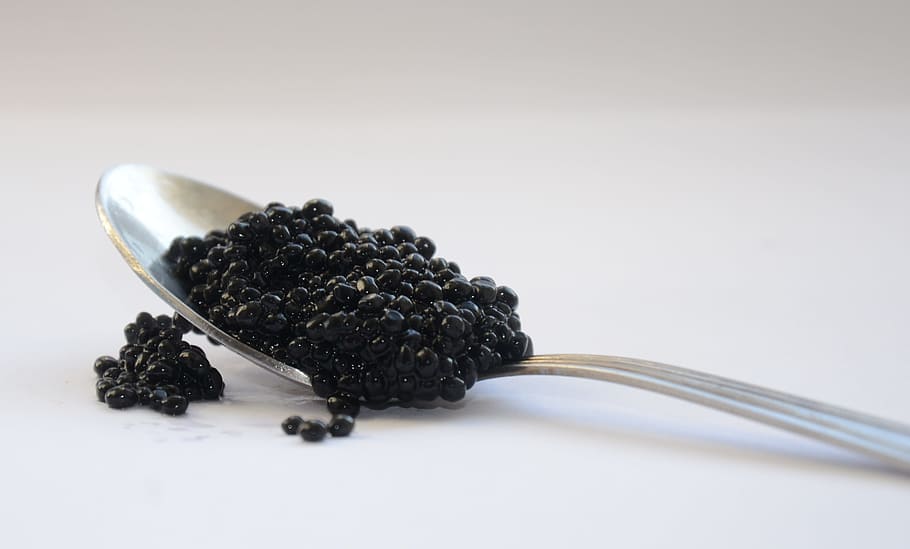 black, beans, spoon, Black Caviar, Cup, Plate, caviar, cup, plate, food, breakfast
