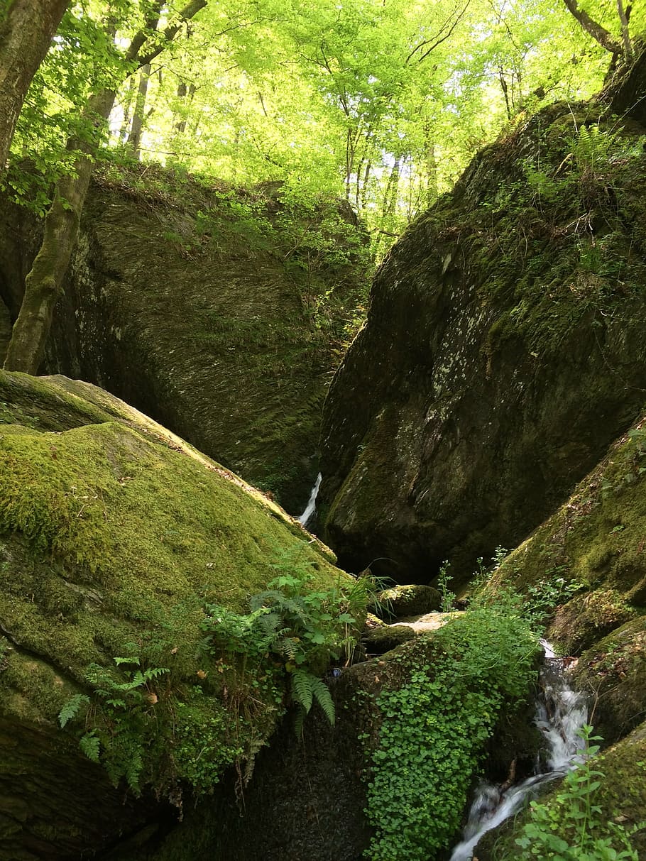 ehrbach, nature, clammy, rock, water, canyon, flow, bach, moss, hike