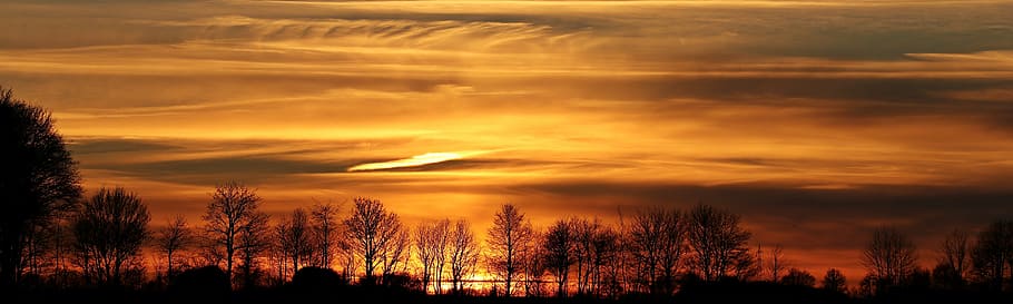 tree silhouette photo, sunset, sun, evening sky, clouds, abendstimmung, setting sun, panorama, sky, afterglow