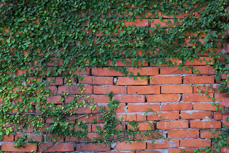 brick, wall, old, mode, stone, brick wall, built structure, architecture, wall - building feature, plant