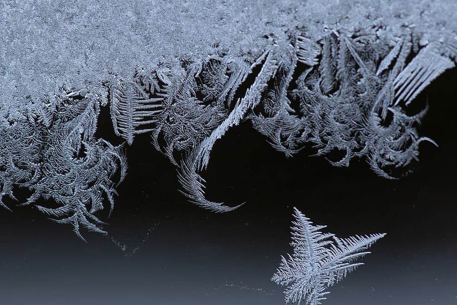 macro, frost, window, ice, cold, winter, snow, crystals, abstract, nature