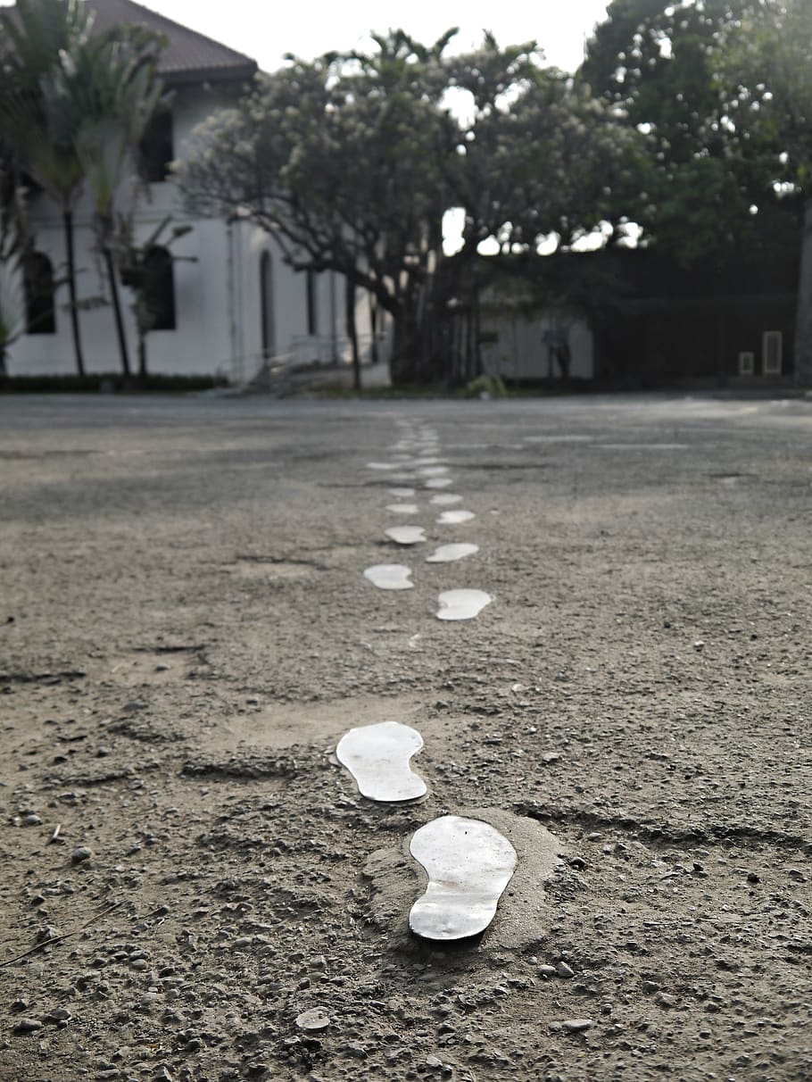 footsteps, jose rizal, philippines, day, city, tree, street, focus on foreground, direction, plant