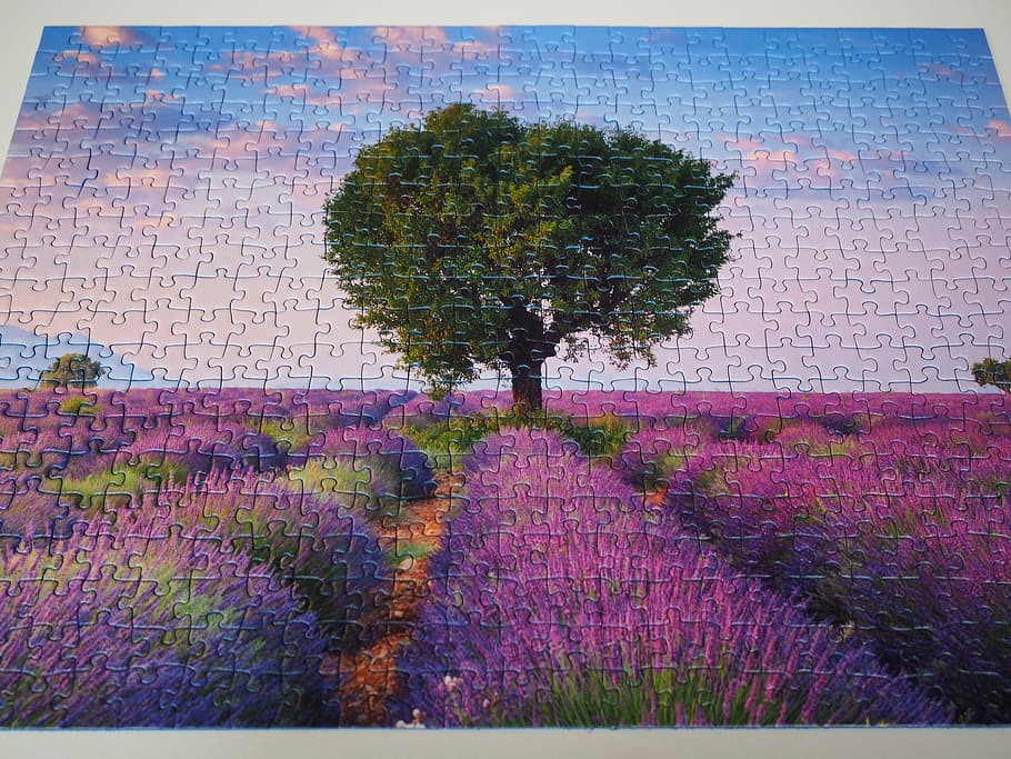 Puzzle, Solved, finish, piecing together, play, patience, memory cards covered with, pastime, completed, purple