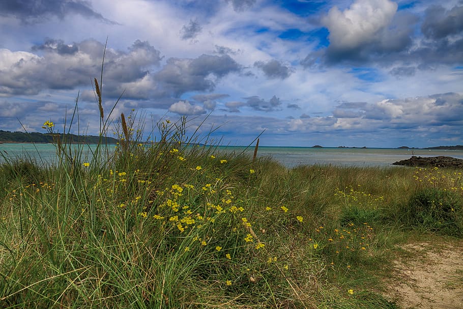 brittany, clouds, herbs, wind, cumulus, landscapes, sea, marin, france, cote-d-armor