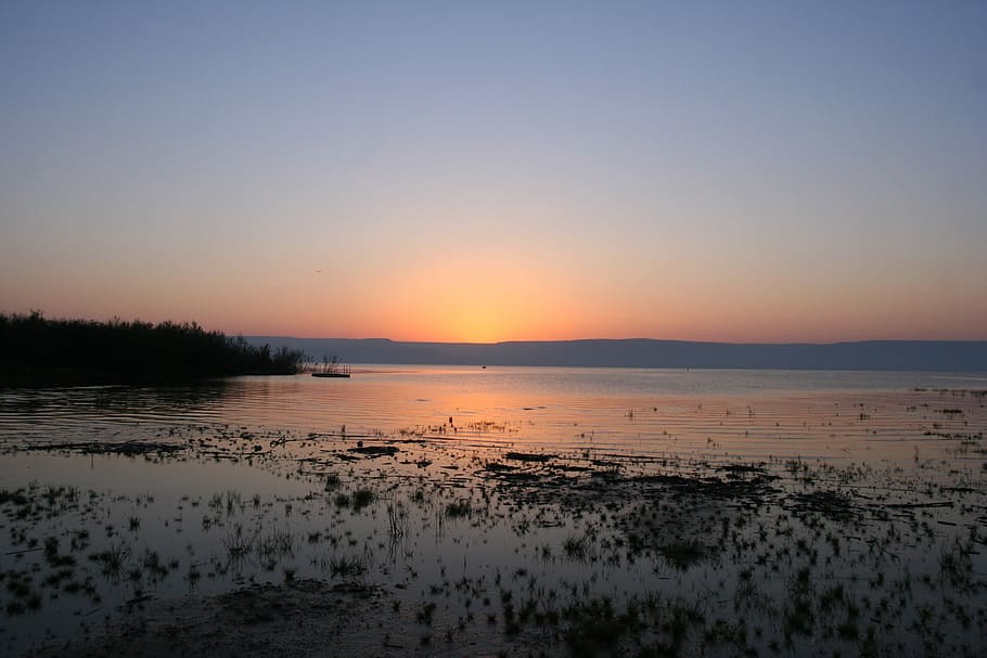 cuerpo, agua, dorado, hora, salida del sol, mar de Galilea, lago, Israel, mañana, turismo