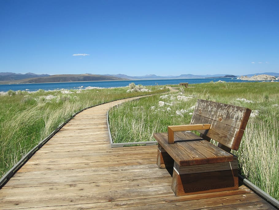 bench, wooden, pathway, grass field, boardwalk, relaxm, ocean, outdoor, beach, sea