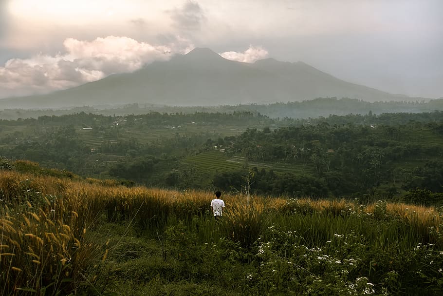 landscape, view, indonesia, green, mountain, java, nature, sky, clouds, mountains