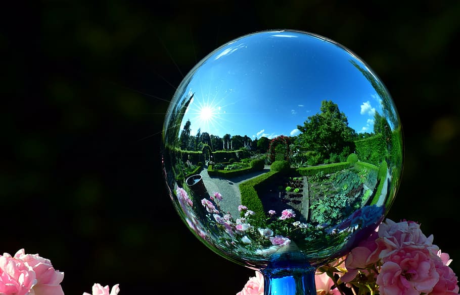 close-up photo, ball, reflecting, topiary, garden globe, mirroring, garden, summer, nature, blue