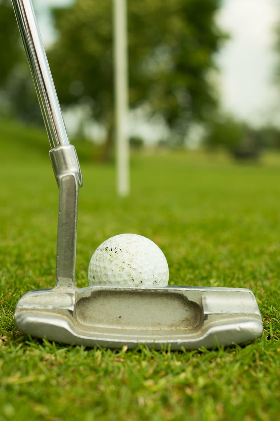 abu-abu, putter golf, putih, bola emas, hijau, fotografi fokus selektif rumput, siang hari, tahan karat, baja, golf