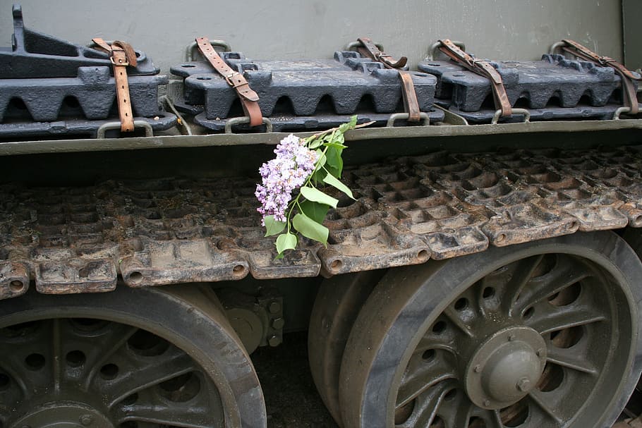 tank, the liberation of prague, the show, soldiers, tanks, military parade, history, kanon, lilac, flowers