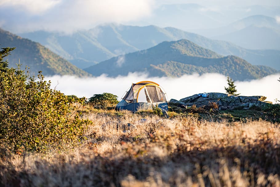 acampamento, barraca, grama, montanha, colina, ligação, viagem, aventura, montanhista, névoa