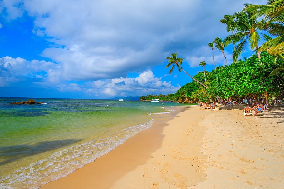 cayo levantado, dominican republic, adobe, tropics, palm trees, beach, journey, landscape, surf, clear water