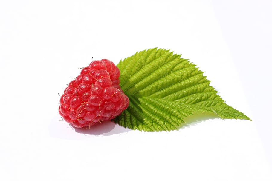 Raspberries, Leaf, Berry, green, green color, white background, cut out, white color, mint leaf - culinary, plant part
