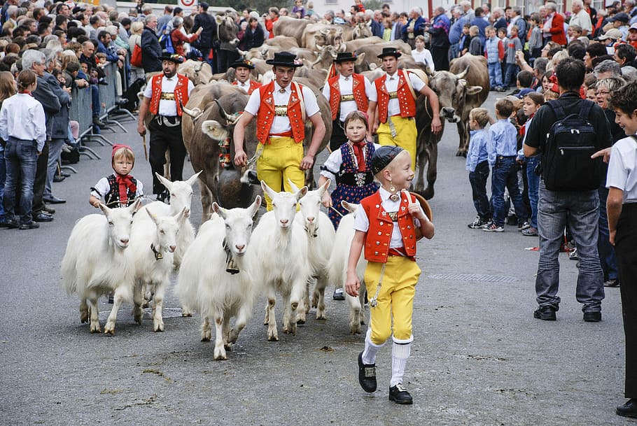 Cattle Market, Goat, Appenzell, the cattle market, switzerland, in the tradition of the, people, crowd, outdoors, animal