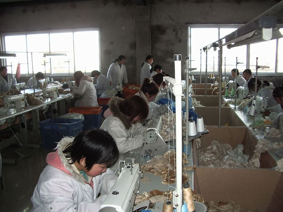 sewer inside factory, Worker, Factory, Sewing, Machine, People, sewing, machine, industry, indoors, working