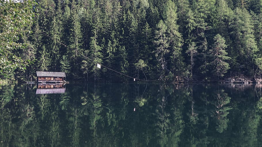 cabin, body, water, surrounded, trees, landscape, photography, house, river, nature