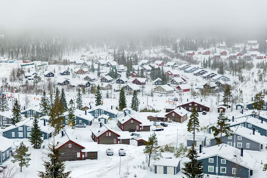 houses sorrounding snow, houses, snow, cold, cottages, fog, gray, trees, villages, white