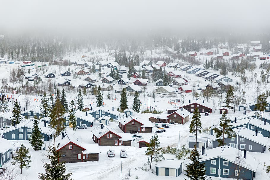 casas, pueblo, nieve, frío, invierno, coche, vehículo, estacionamiento, árboles, nieblas