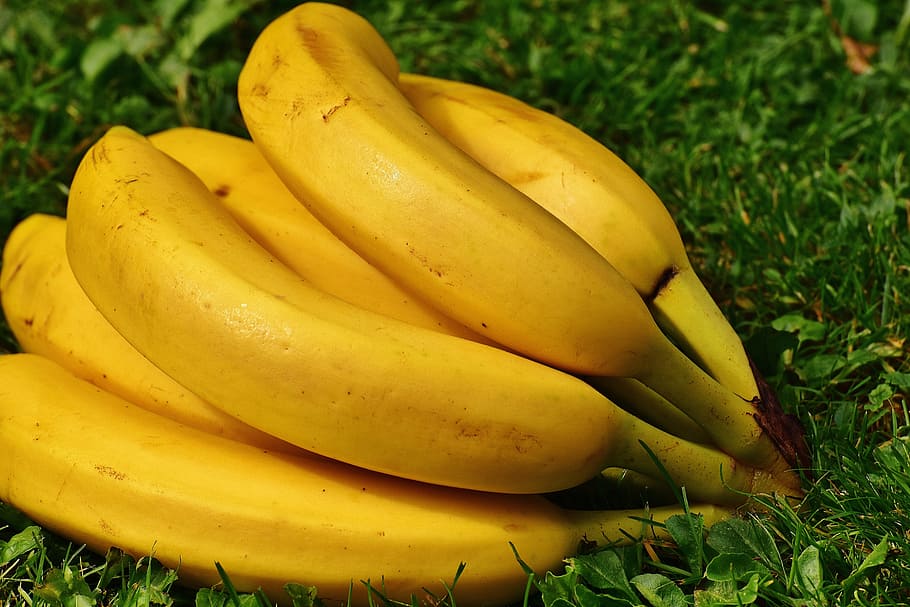 Bananas, Fruit, Healthy, Yellow, fruits, banana peel, ripe, nature, frisch, close