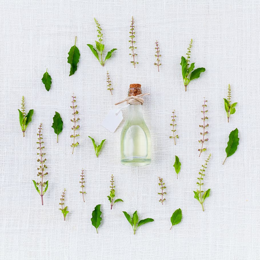 clear, glass potion bottle, aroma, basil, preparation, natural, spice, kitchen, delicious, green