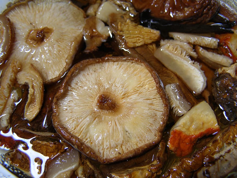 Mushroom, Mixed, shitake, reconstitute, dried, healthy, nutrition, brown, vegetarian, vegetable