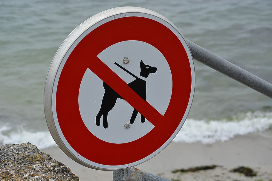 panel, ban, no dogs allowed, beach, good citizenship, hygiene, sign, communication, circle, shape