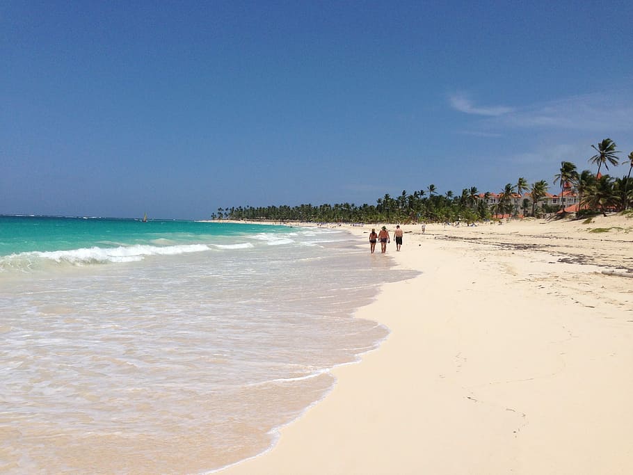 people, seashore, Punta Cana, Beach, Ocean, Sand, Palm, trees, sea, incidental people