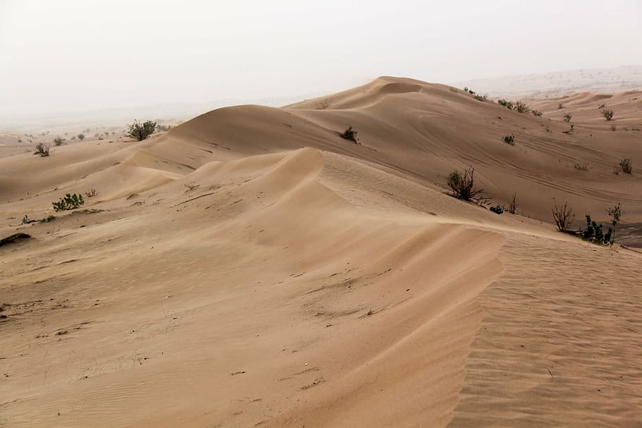 deserto, areia, fino, dubai, dunas de areia, duna, duna de areia, seca, natureza, paisagem