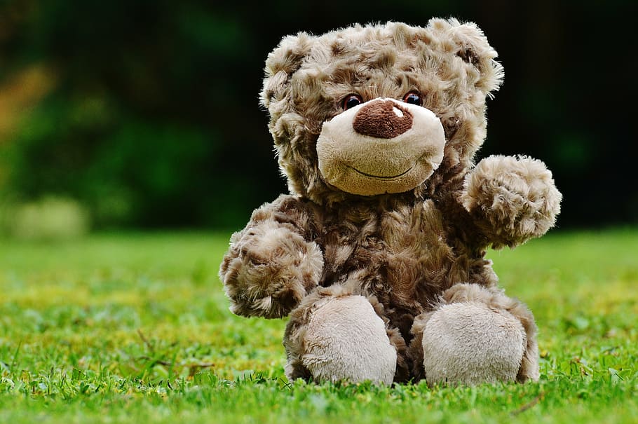brown, bear, plush, toy, green, grass field, teddy, soft toy, stuffed animal, teddy bear