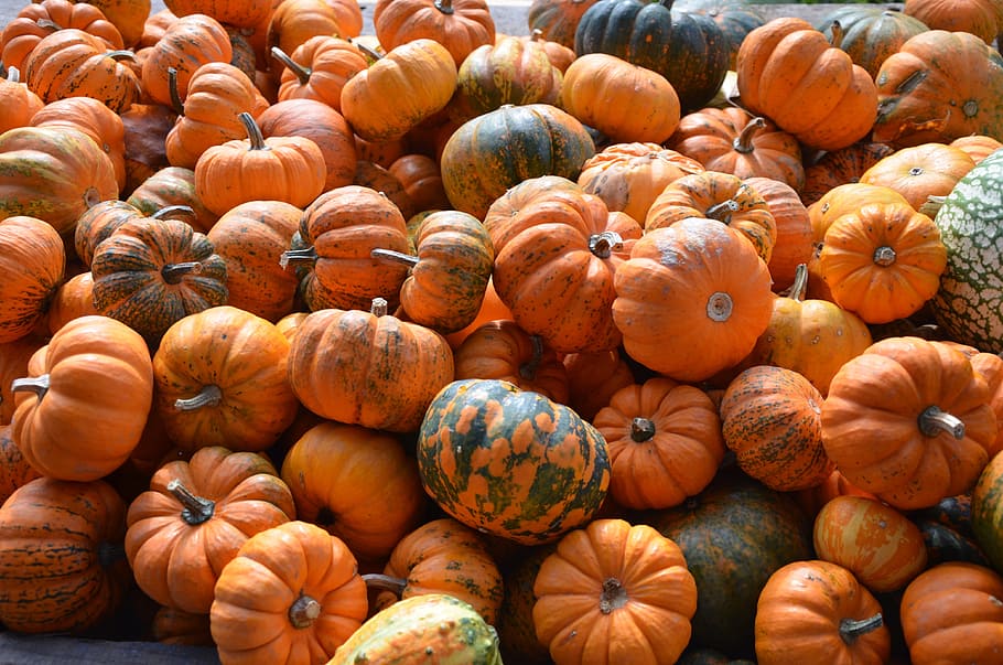 pumpkin, orange, autumn, decoration, gourd, nature, food, food and drink, large group of objects, freshness