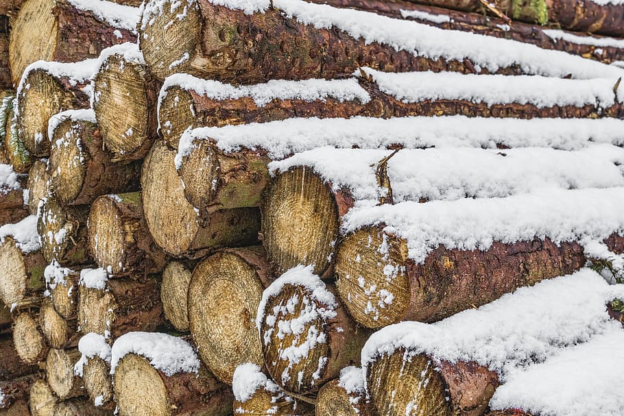 snow-covered, brown, tree log lot, wood, wood pile, trees, nature, firewood, holzstapel, stock