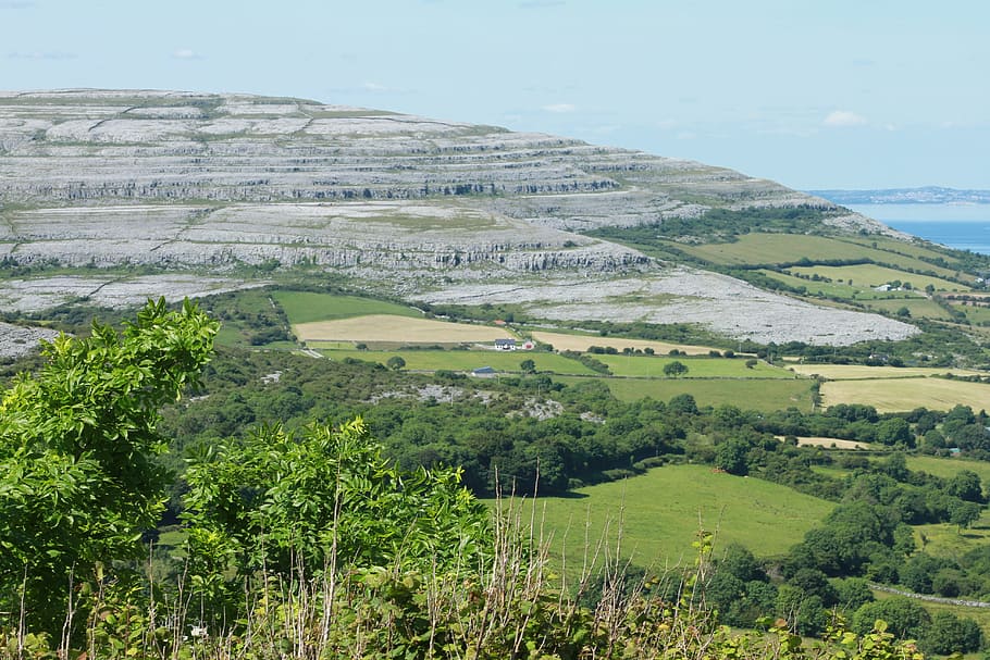 view of the burren, limestone rock formation, co, clare, ireland, landscape, beauty in nature, environment, scenics - nature, plant