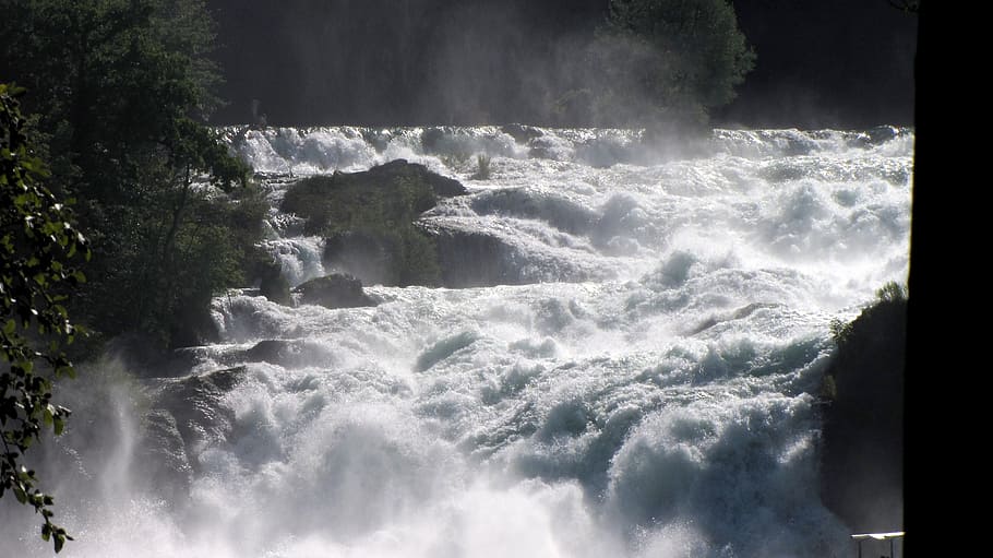 rhine falls, schaffhausen, waterfall, water, beauty in nature, motion, scenics - nature, power, nature, sport