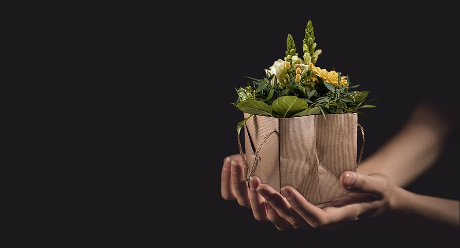 person, holds, brown, paper bag, flower plants, flowers, bouquet, colorful, gerbera, give