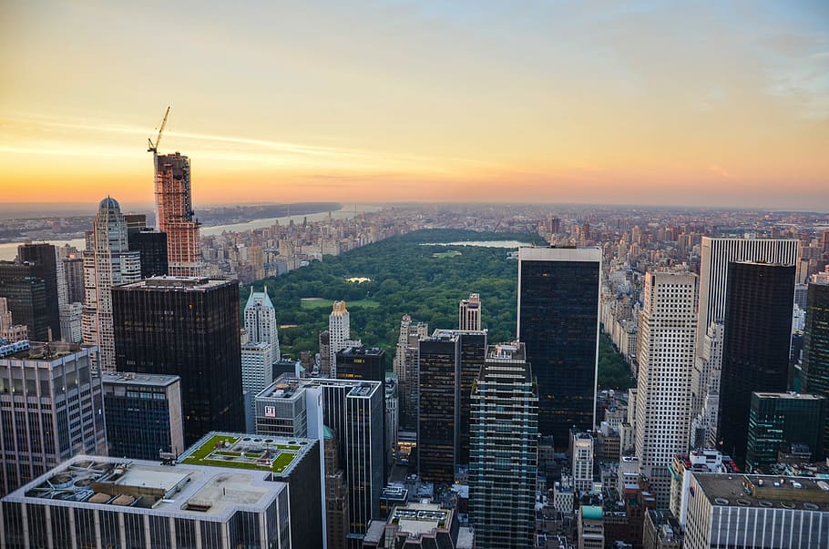 ニューヨーク, 中央, 公園, ニューヨーク市, マンハッタン, 超高層ビル, 都市公園, 米国, 日没, 夕暮れ