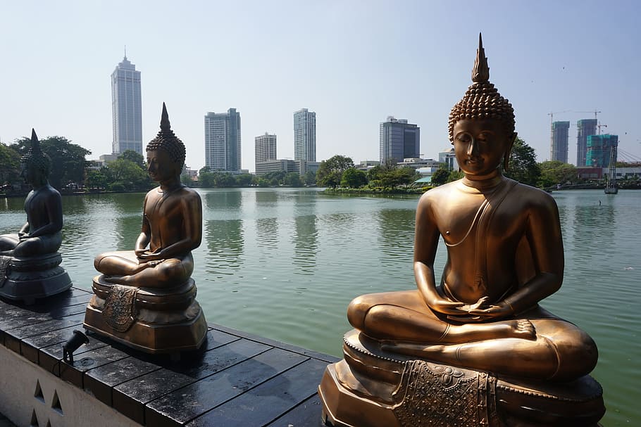 gautama buddha statues, fence, Statues, Buddha, Skyscrapers, Skyline, buddhist, temple, meditation, lake