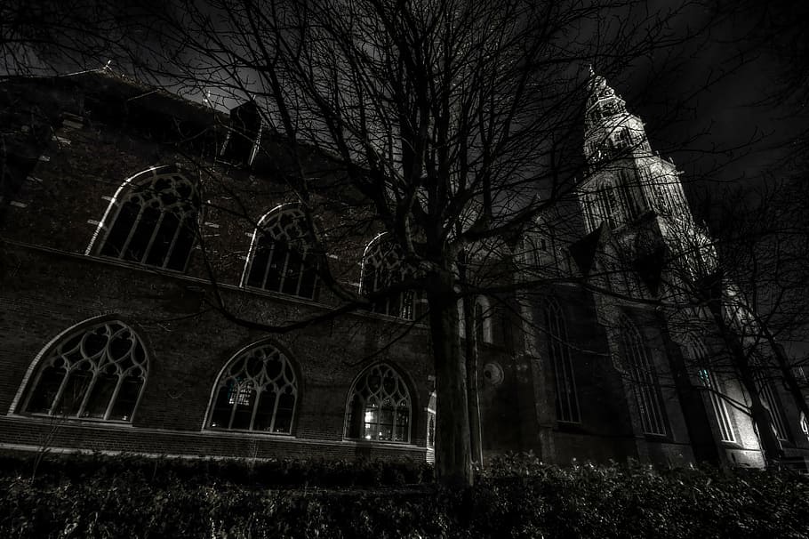 church, night, gray, winter, christian, european, black And White, architecture, gothic Style, tree