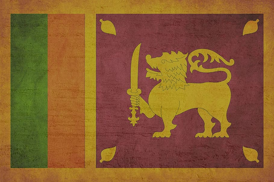 Sri Lanka, bandera, sin personas, arte y artesanía, creatividad, primer plano, representación, amarillo, pintura, artesanía