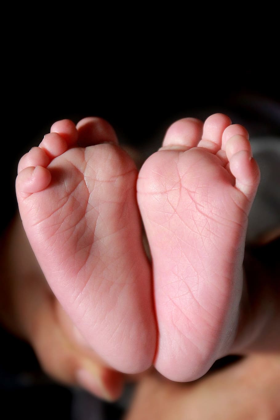 baby feet, newborn, leg, baby, child, small, childhood, body, infant, little