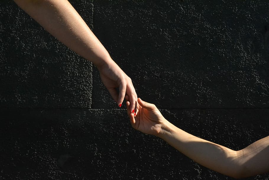 two, person, holding, Hands, Union, Connection, hands together ...