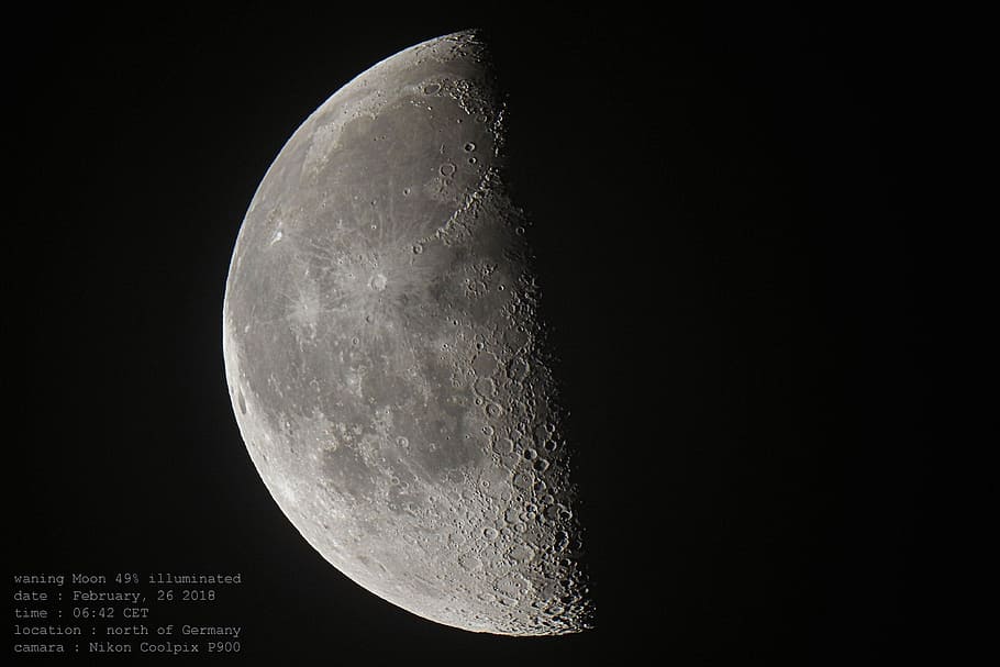 luna, today, scale, photography, half, moon, night, astronomy, space, low angle view
