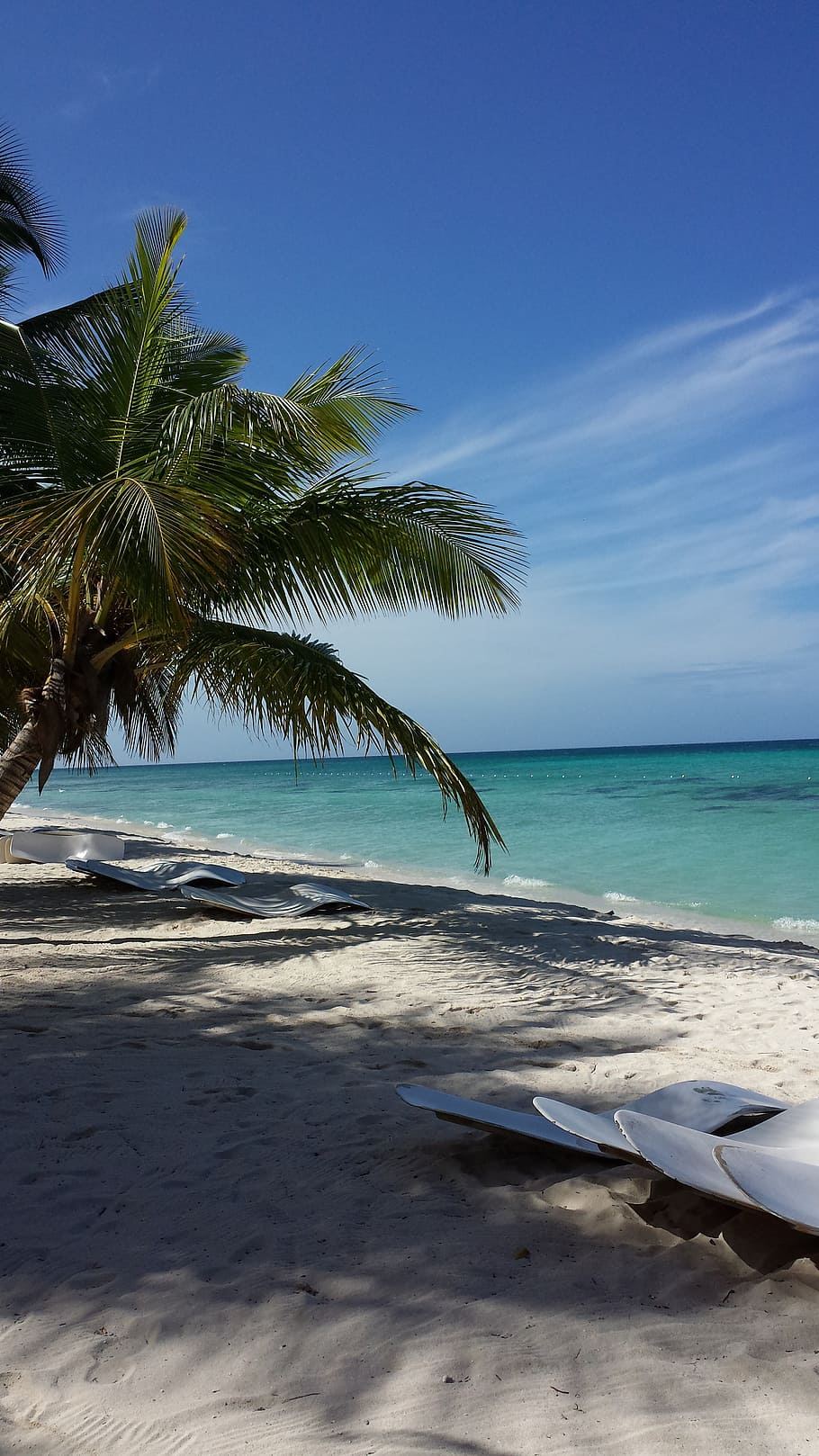 beach, palm trees, caribbean, sea, holiday, tropical climate, water, land, sky, sand