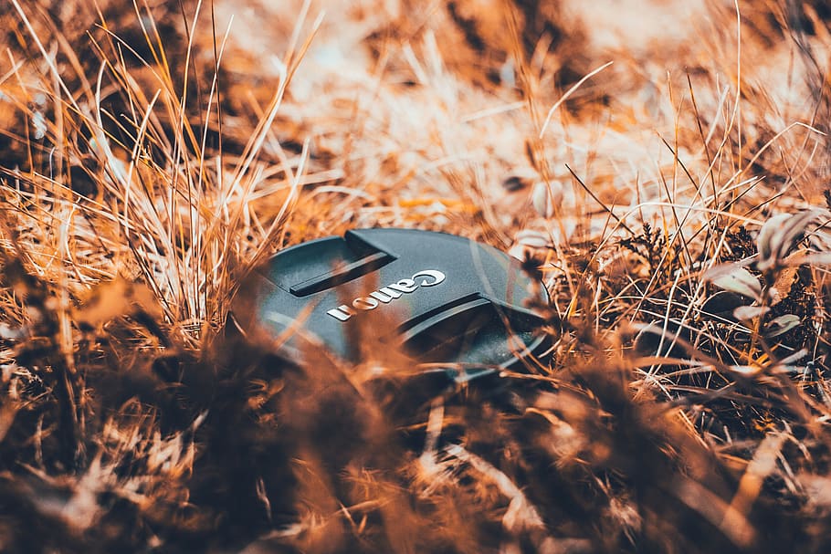 camera, lens, black, photography, canon, outdoor, grass, field, plant, land