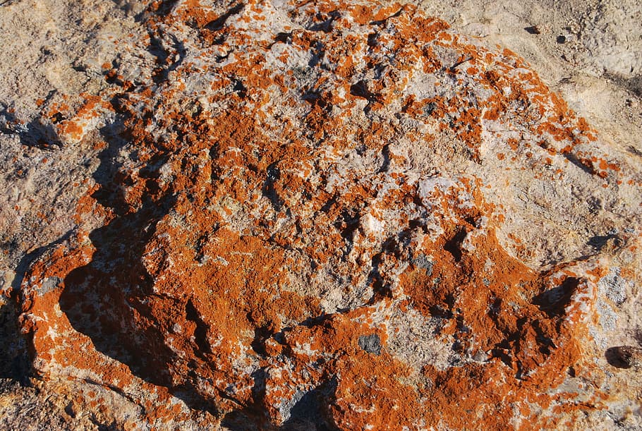 岩 地質 石 自然 デスクトップ ラフ 地球表面 クローズアップ 抽象 汚い Pxfuel