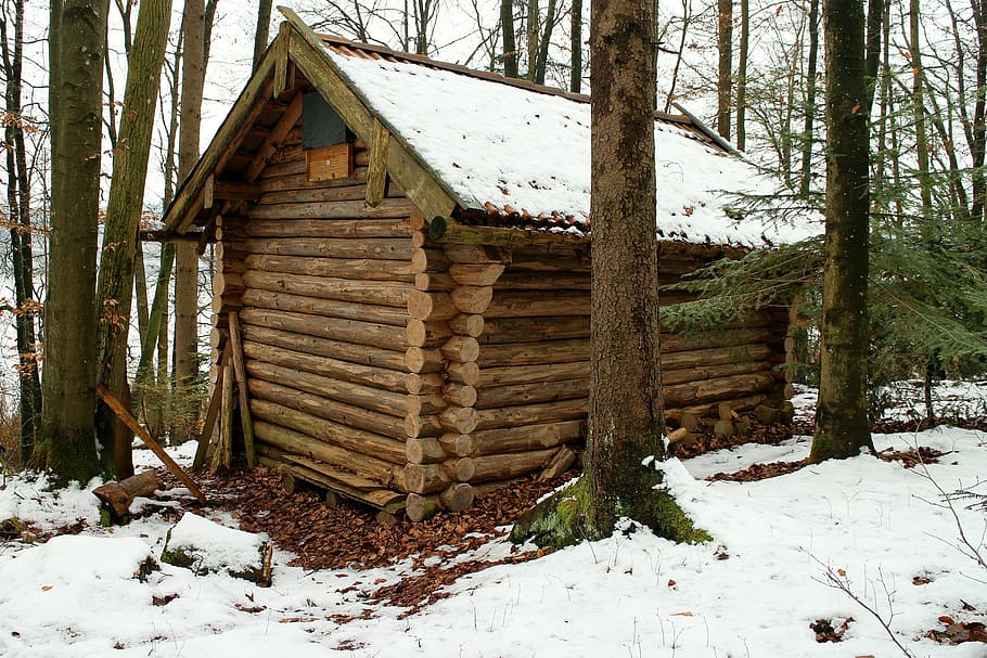 Log Cabin, Block House, Hutan, Alam, musim dingin, rumah, pondok, rumah peristirahatan, pondok gunung, akomodasi
