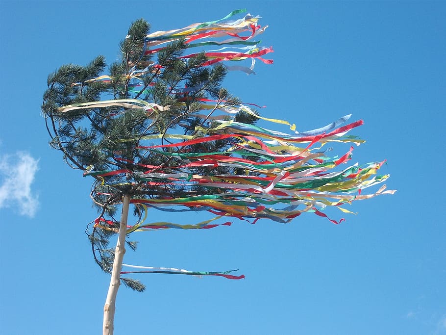 maypole, celebration, tree, may, holiday, decoration, festive, ornament, sky, low angle view