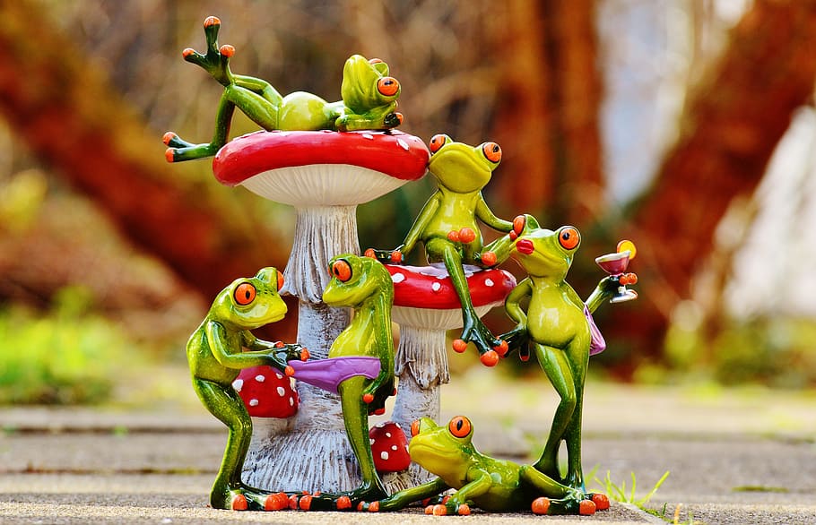 frogs, mushrooms, figures, group, funny, cute, animals, sweet, fly agaric, envious