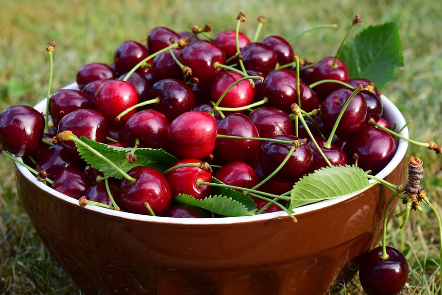 red, cherry, fruits, brown, ceramic, bowl, cherries, fruit, delicious, sweet