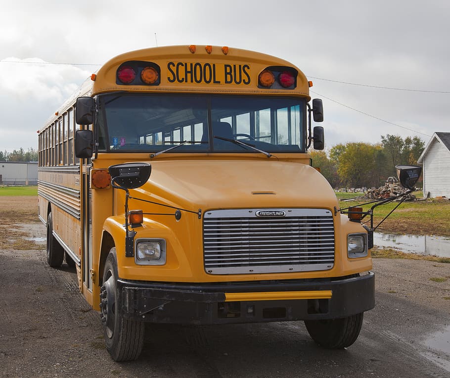 sekolah, bus, mobil, moda transportasi, transportasi, kendaraan darat, kuning, bus sekolah, transportasi umum, teks