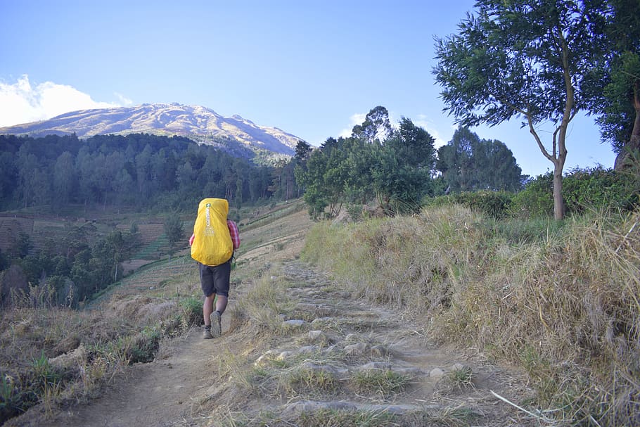 Trekking, Hiking, pejalan kaki, di luar rumah, aktivitas, berjalan, manusia, pendakian gunung, backpacker, gunung